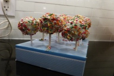 Cake Pops